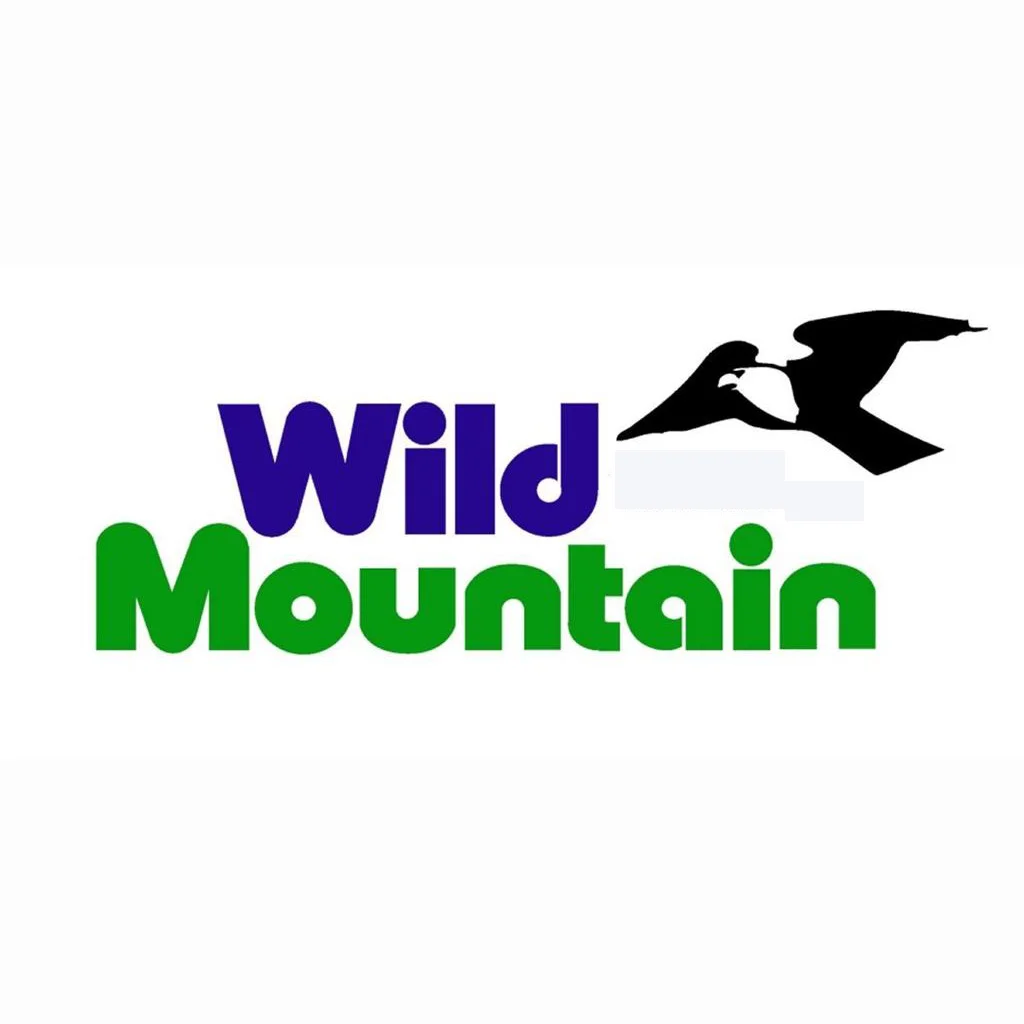 Wild Mountain.jpg