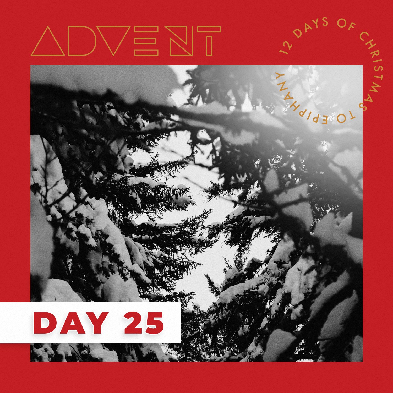 ADVENT DAY 25: Dec. 25 – 12 Days of Christmas to Epiphany