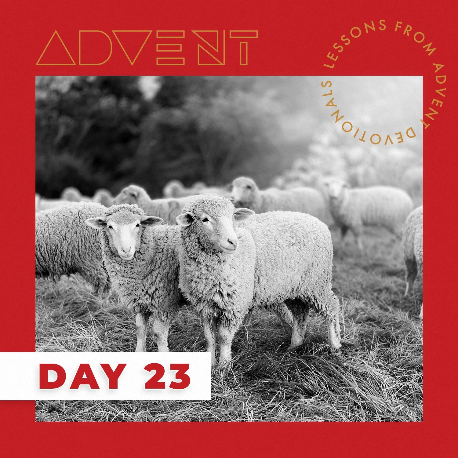 ADVENT DAY 23: Dec. 23 – Lessons from Advent Devotionals