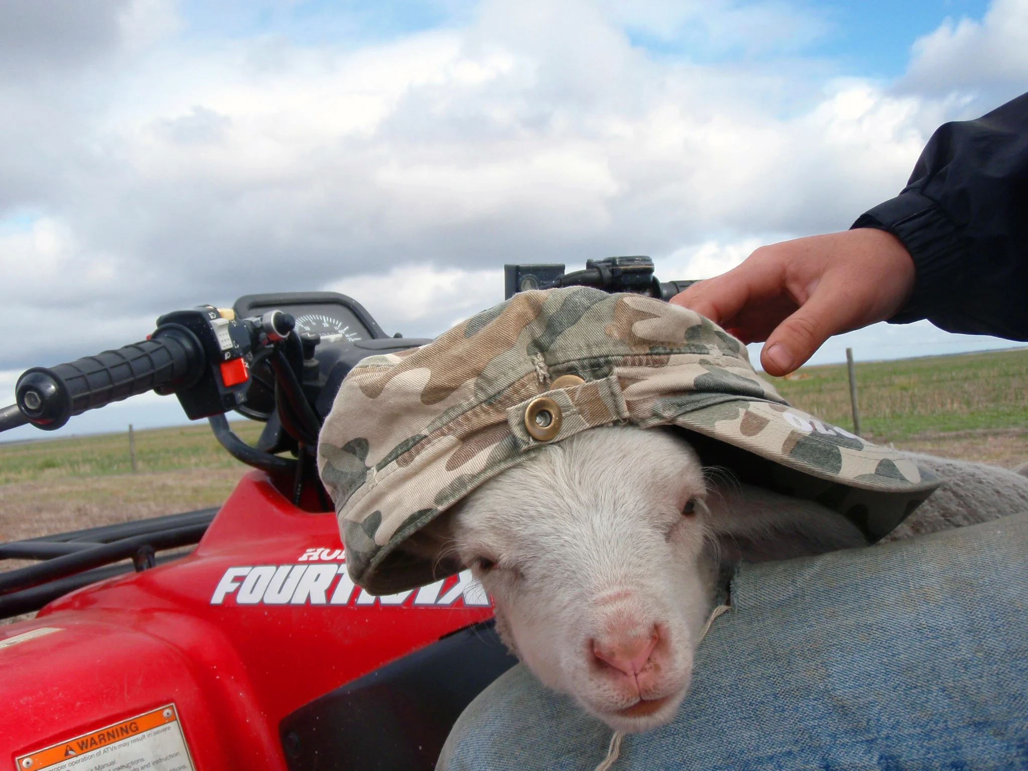 The thing you can do on farms!