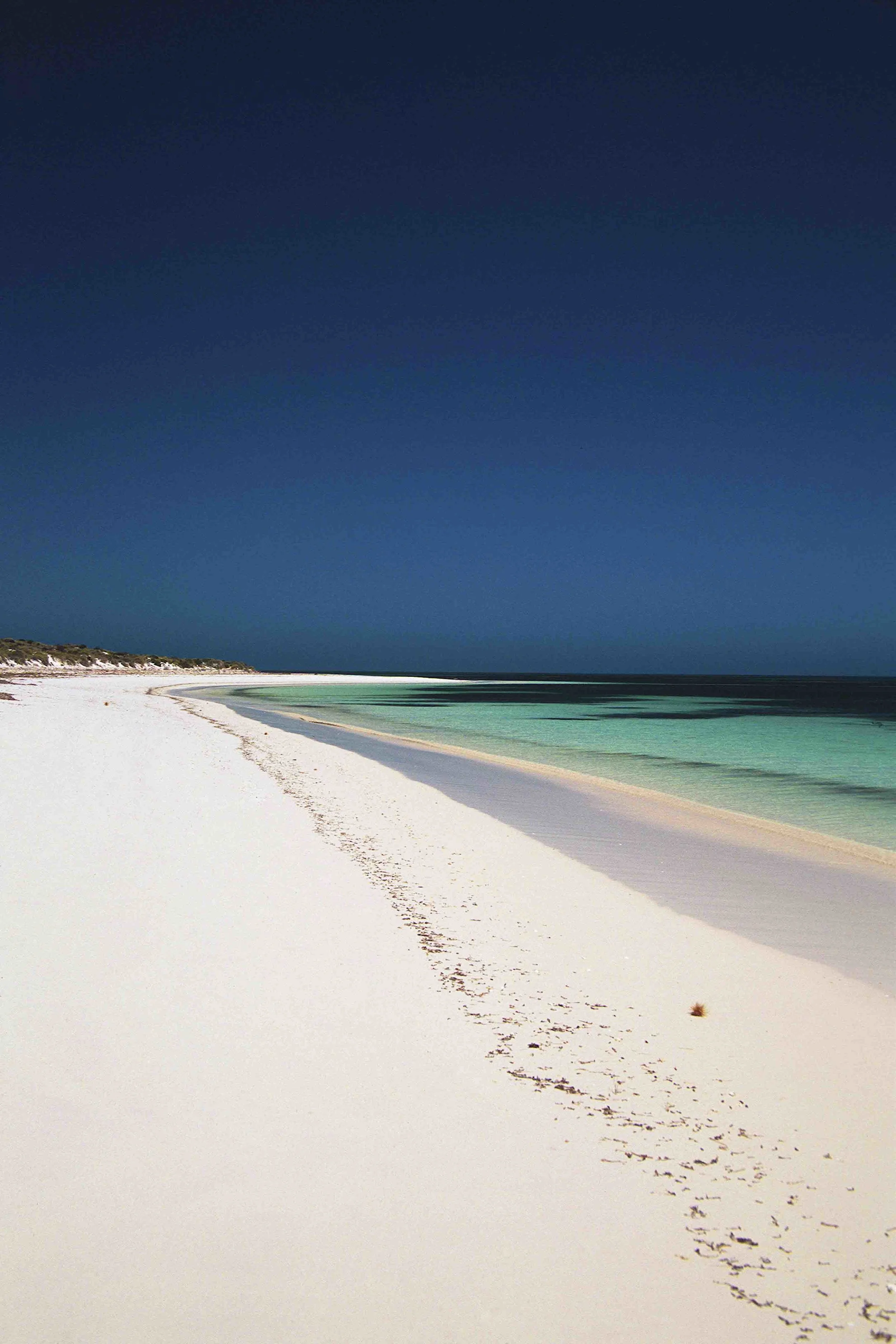 Abrolhos Turtle Cove 1.jpg