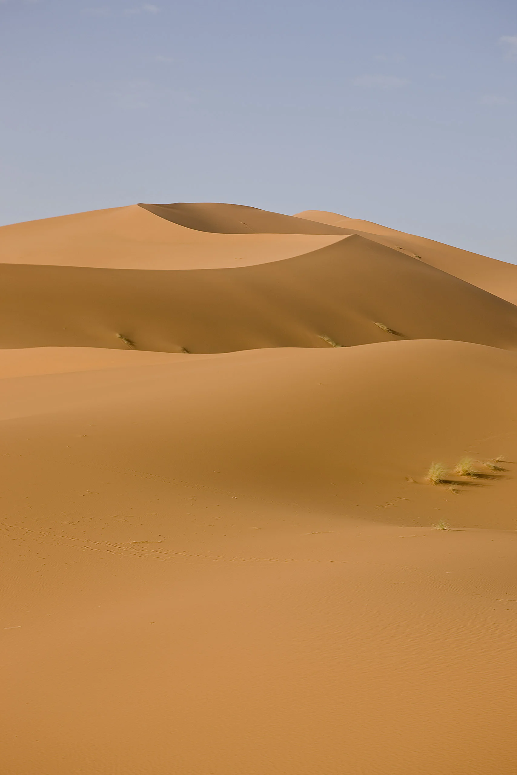 Erg Chebbi 4.jpg