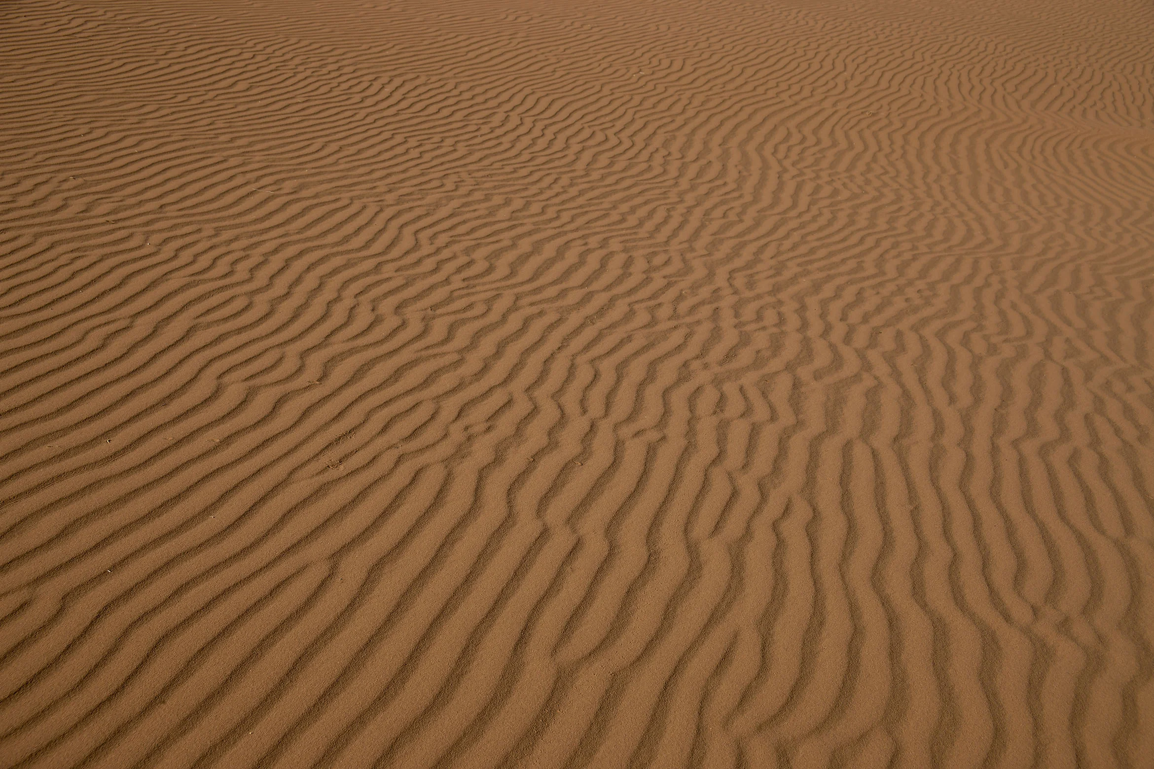 _B0X2085.jpg