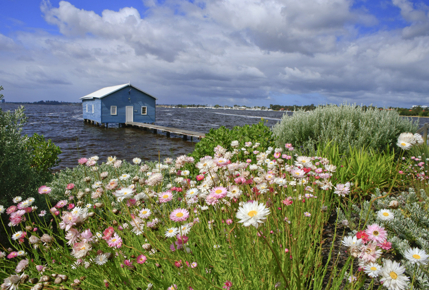 crawleyedgeboatshed_danielleprowse.jpg