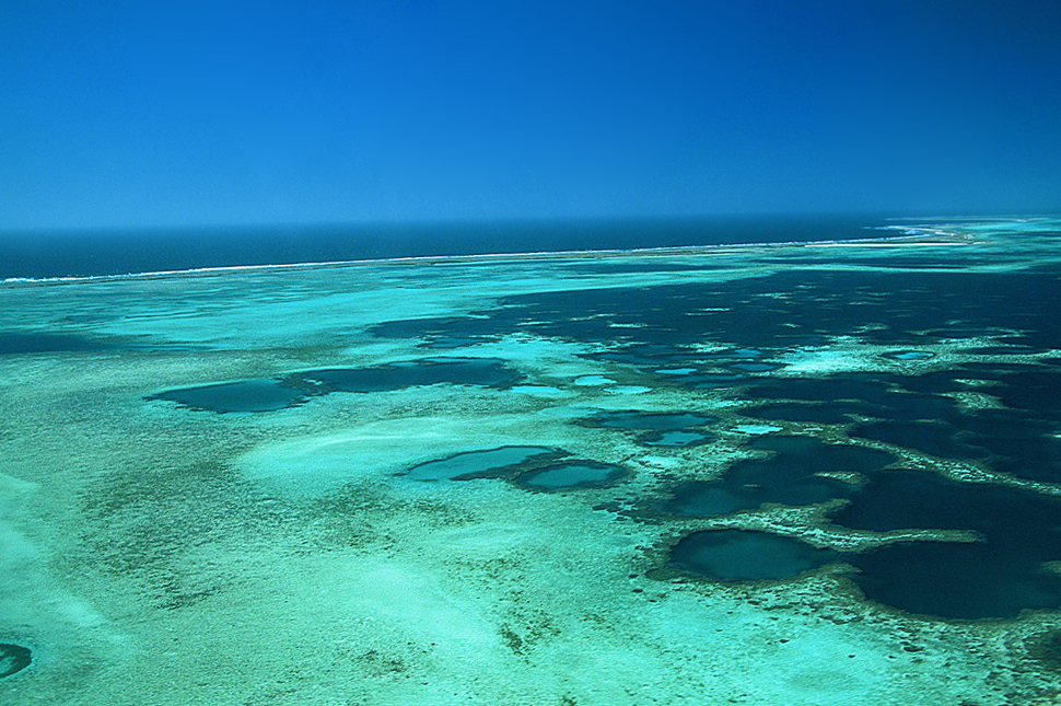 abrolhos_danielleprowse.jpg