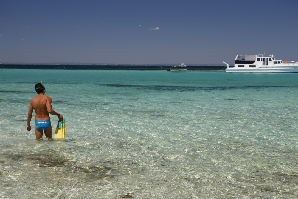 rottnest3_danielleprowse.jpg