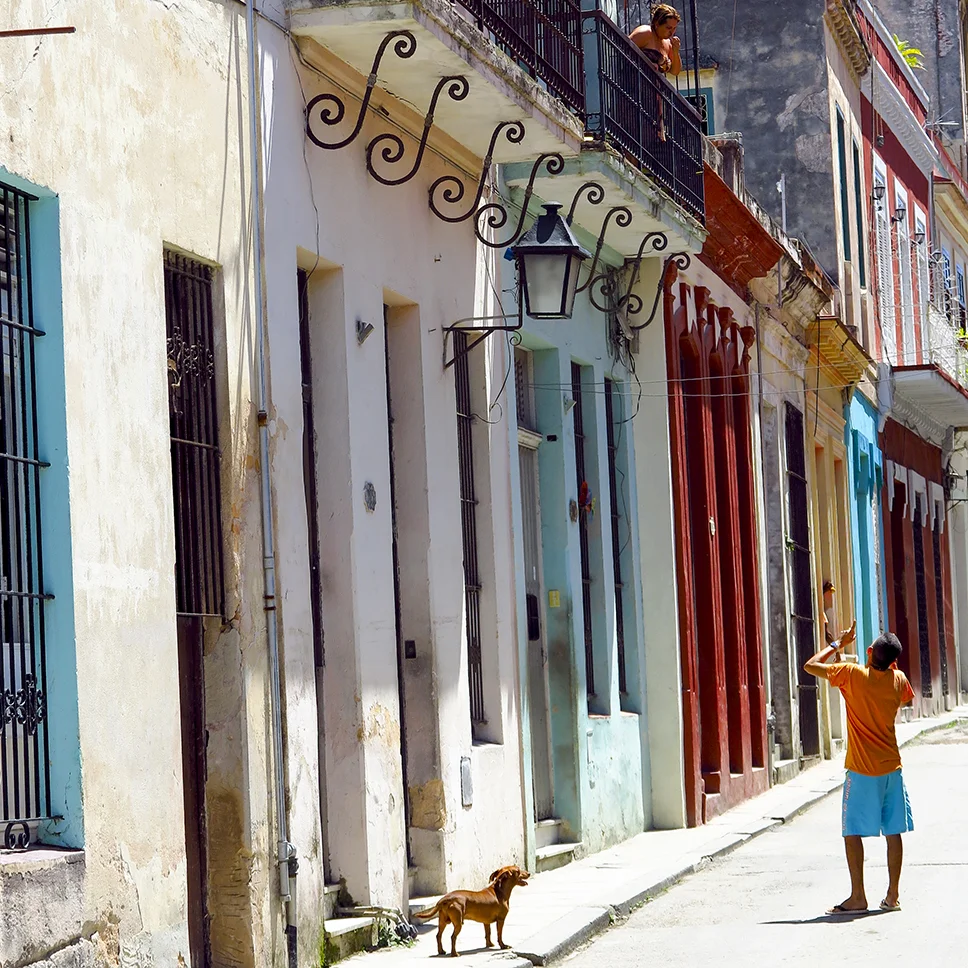 Cuban&nbsp;Social Networking