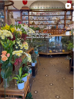 Unreal Flowers 