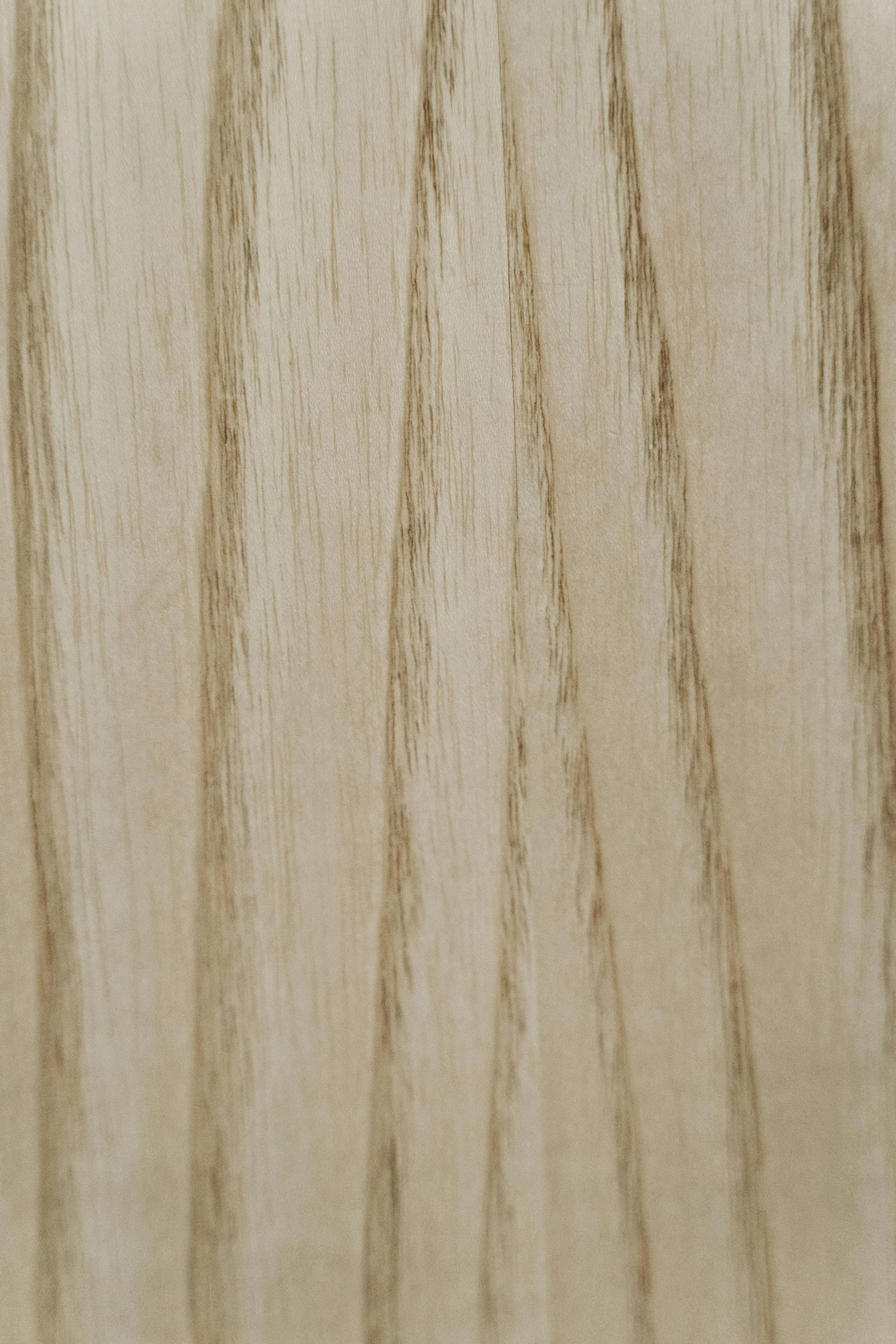 pexels-cottonbro-7504597.jpg