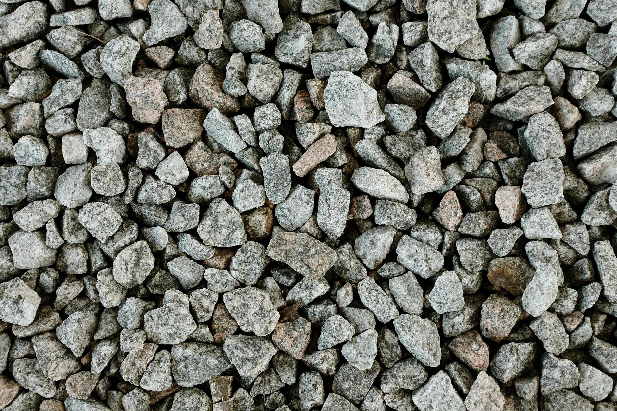 pexels-cottonbro-4737948.jpg