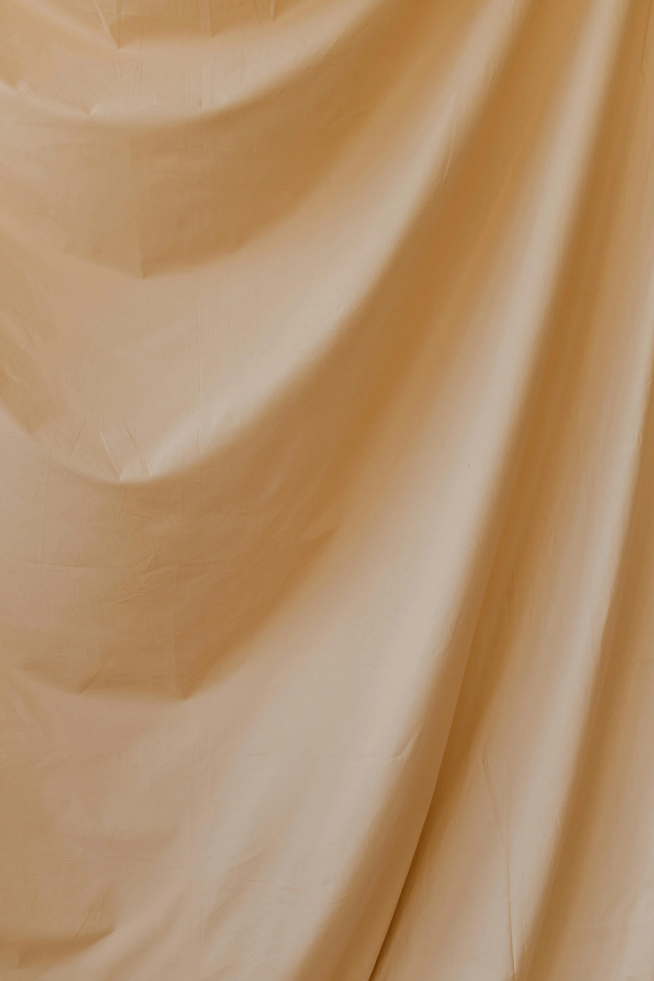 pexels-cottonbro-6739220.jpg