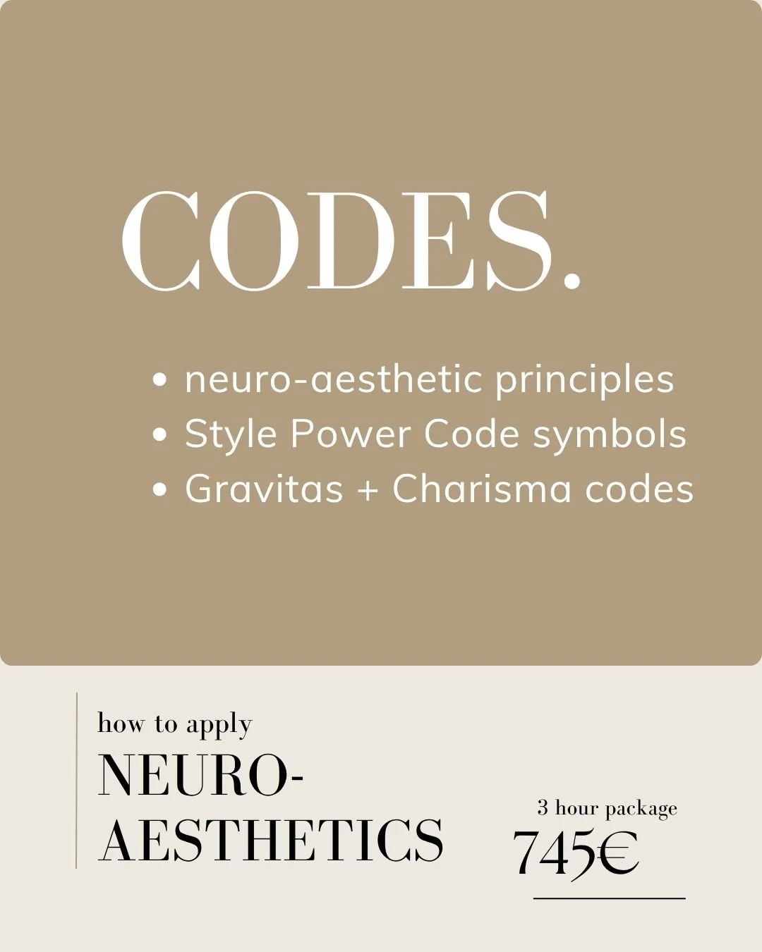 Codes coaching programme by Lisa Maria Pippus, teaching neuro-aesthetics, design principles, historical Style Power Codes and Gravitas and Charisma as part of the Visual Language System.