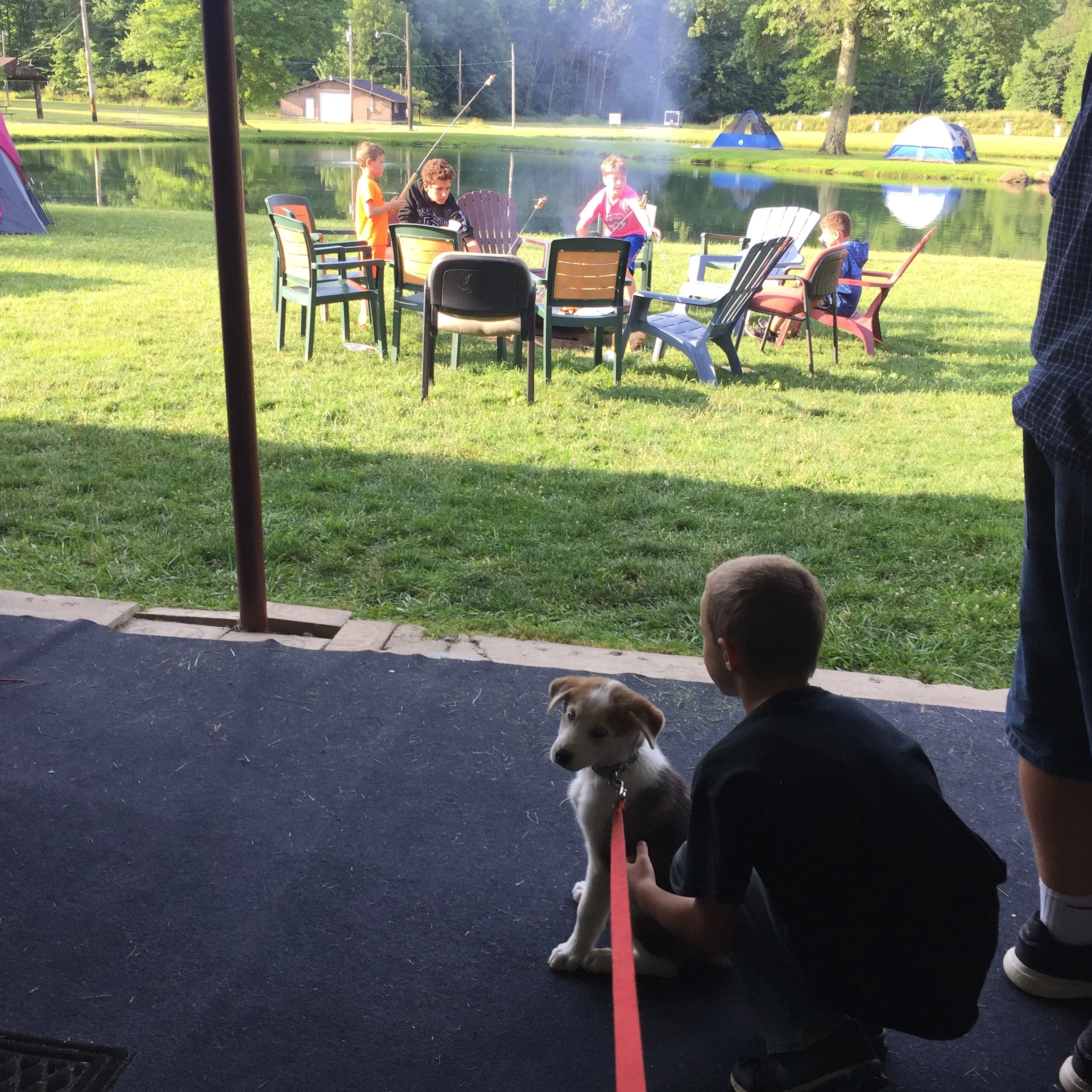 We have a new friend around here: Ellie!! She loves the kids!