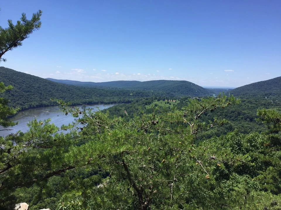 Lunch view from day two!