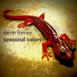 Seasonal Colors Cover.jpg