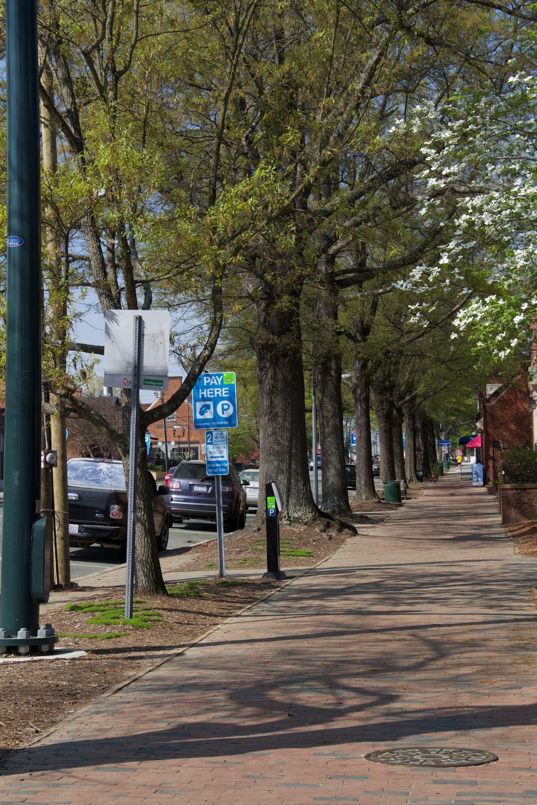 WST_franklin_street_overview.jpg