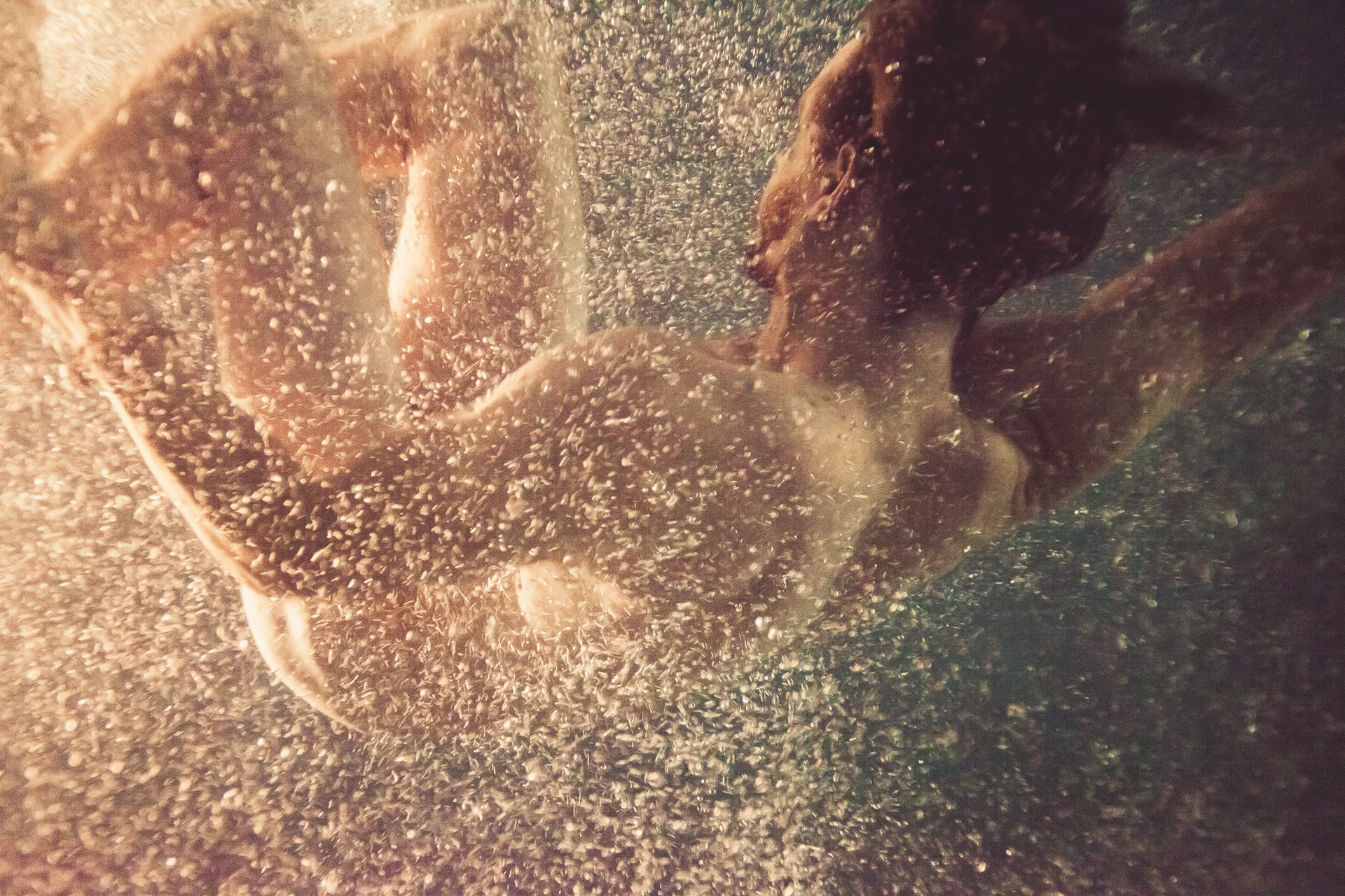 INSIDE THE ARTIST'S STUDIO: DANIEL N. JOHNSON