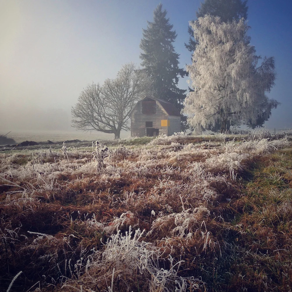 FrostyFarm.jpg