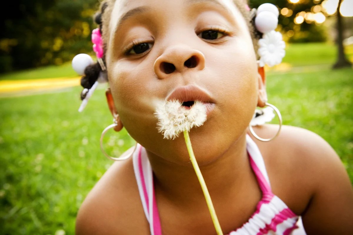 Dandelion.jpg