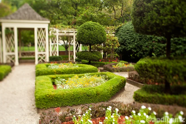 secretgarden2.jpg