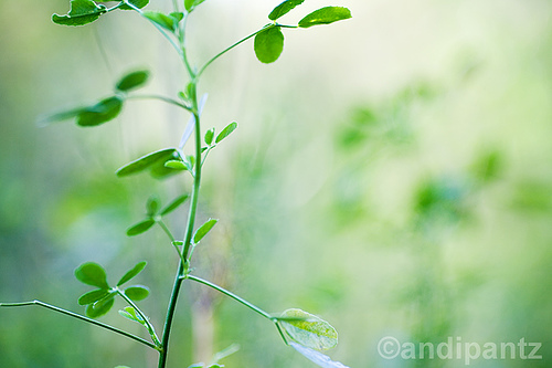 1430540748_2a0c7f8fe6.jpg