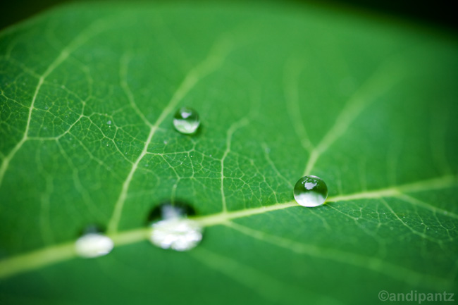 waterdroplets.jpg