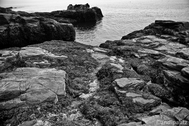 tidepoolrocks2.jpg