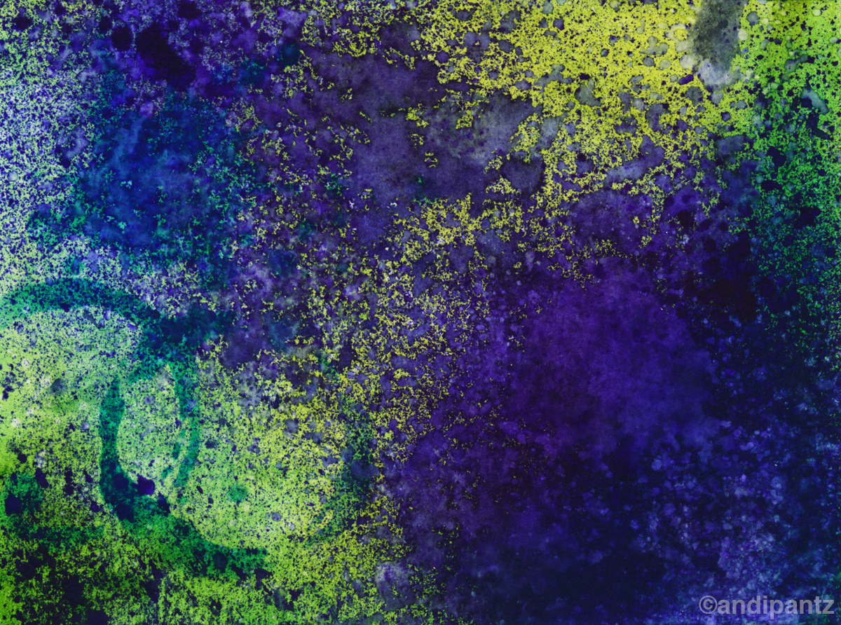 "Hyacinth" Watercolor and Ink on watercolor paper. 4 1/2" x 6". March 2015. Original painting: $20 shipped, unmatted/unframed.