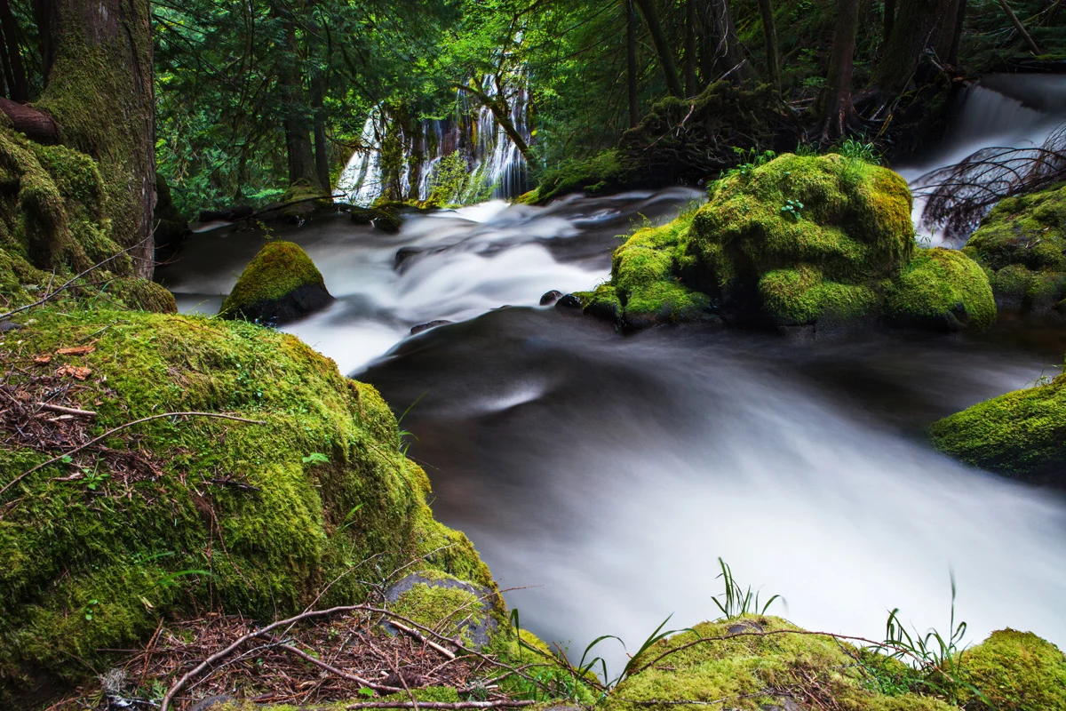 PantherCreekFalls1.jpg