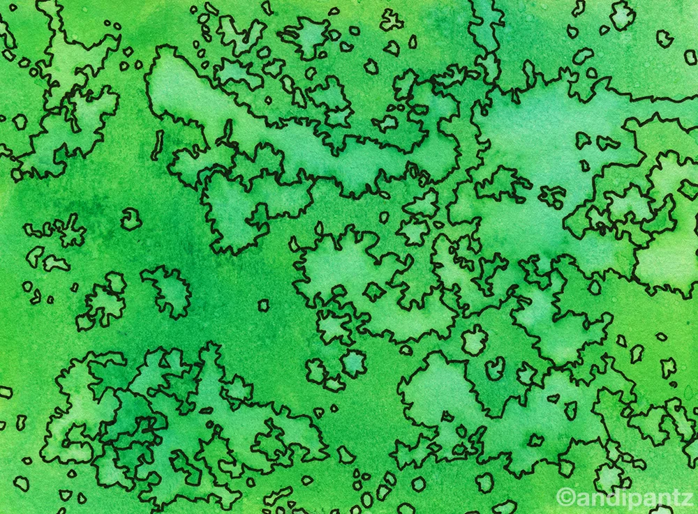 Topo8_resized.jpg