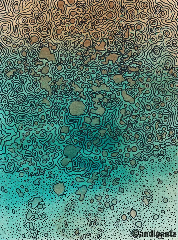 Topo7_resized.jpg