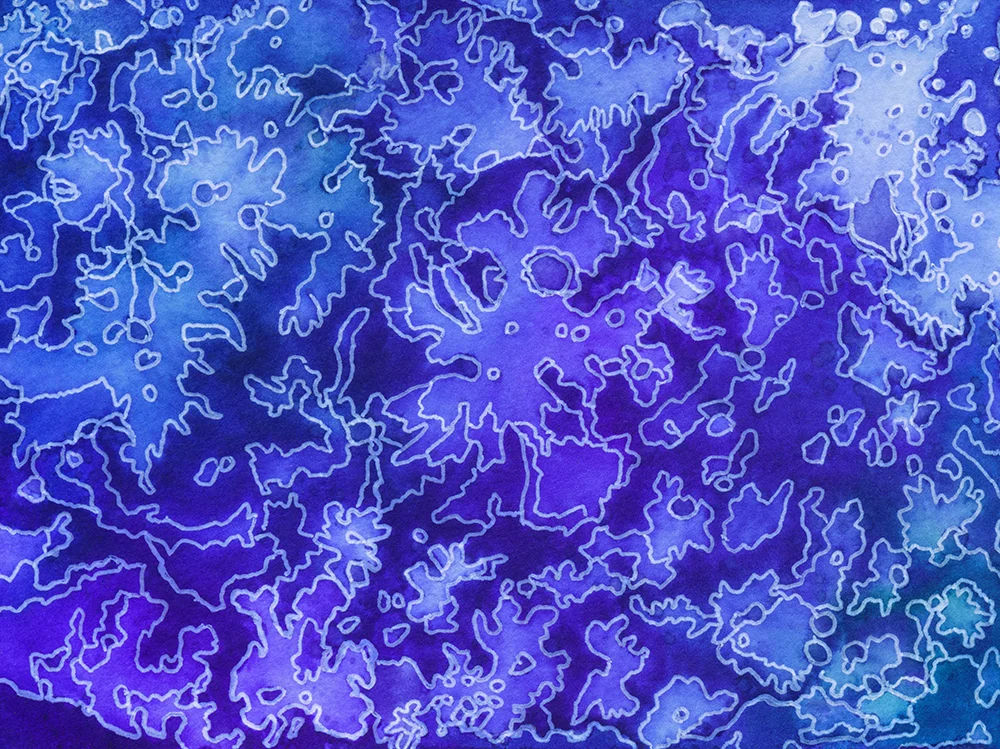 Topo11_small.jpg