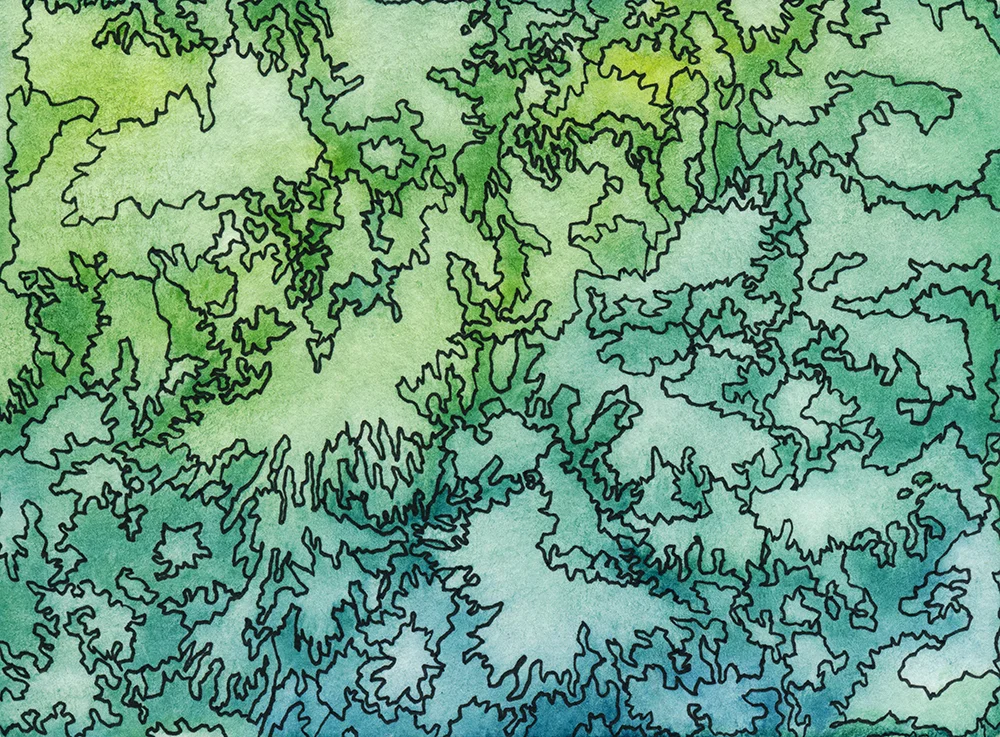 Topo12_small.jpg