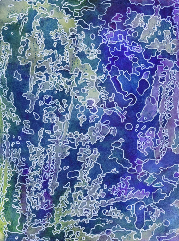 Topo16_small.jpg