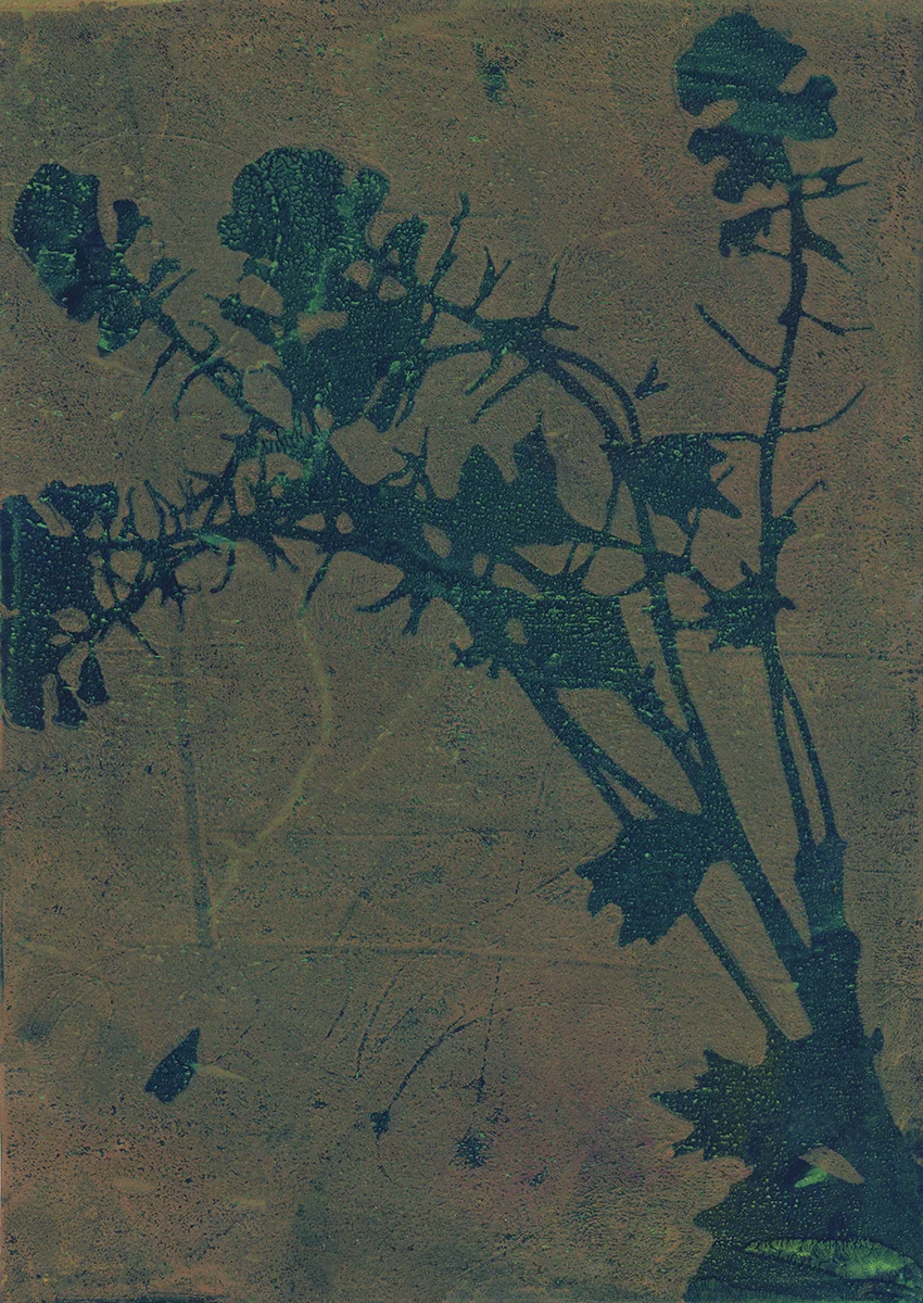 FloralMonoprint4_small.jpg