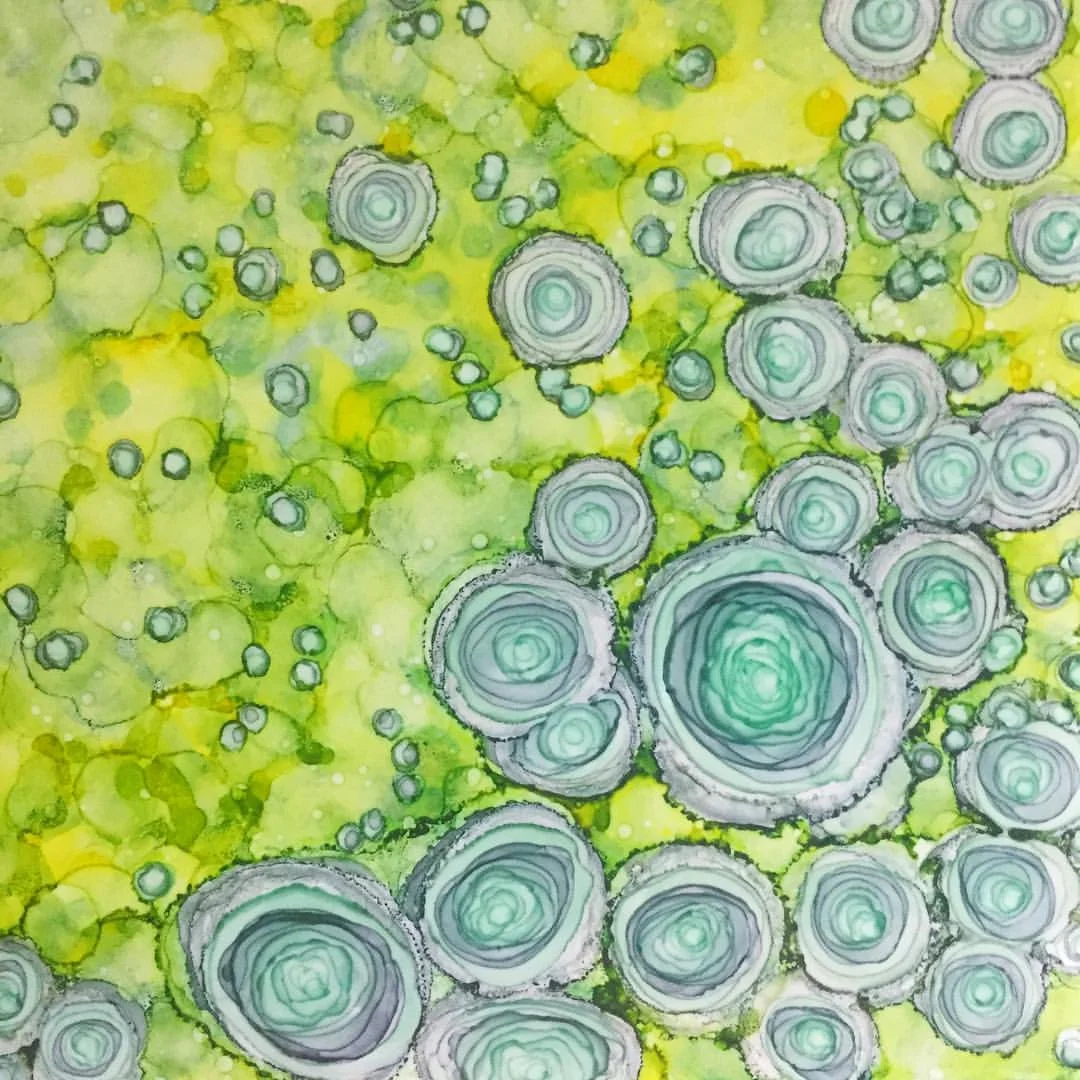 18359382_10158627665830052_1349863349890258959_o.jpg