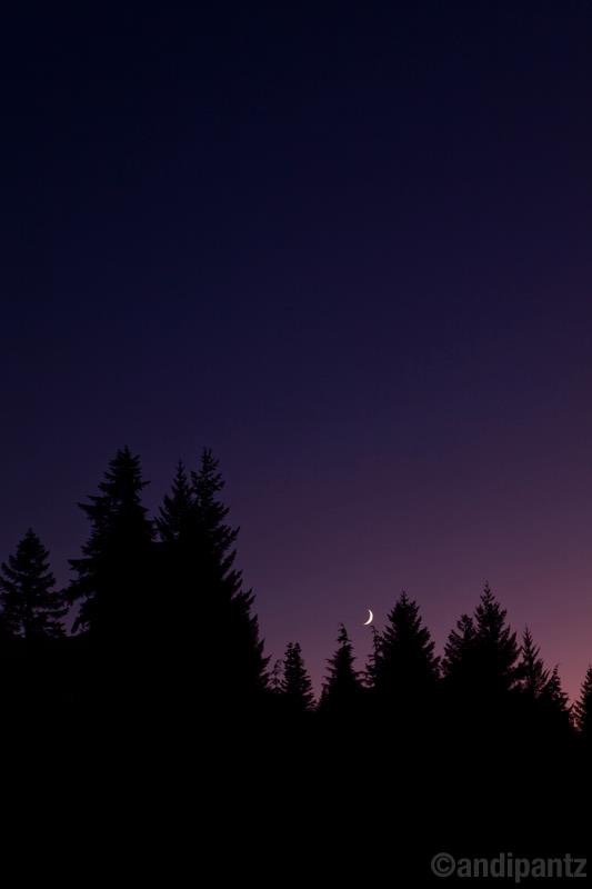 6ECF25FD-4AD8-4D95-AD3B-149806EBC5D1.jpeg