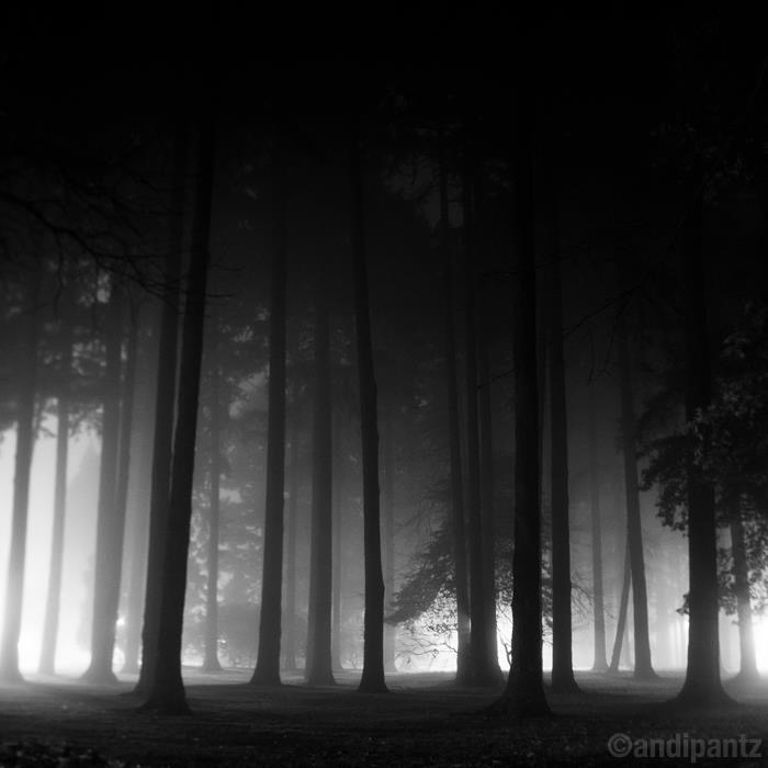 4B22F63C-B213-499D-AD57-0F183301E287.jpeg