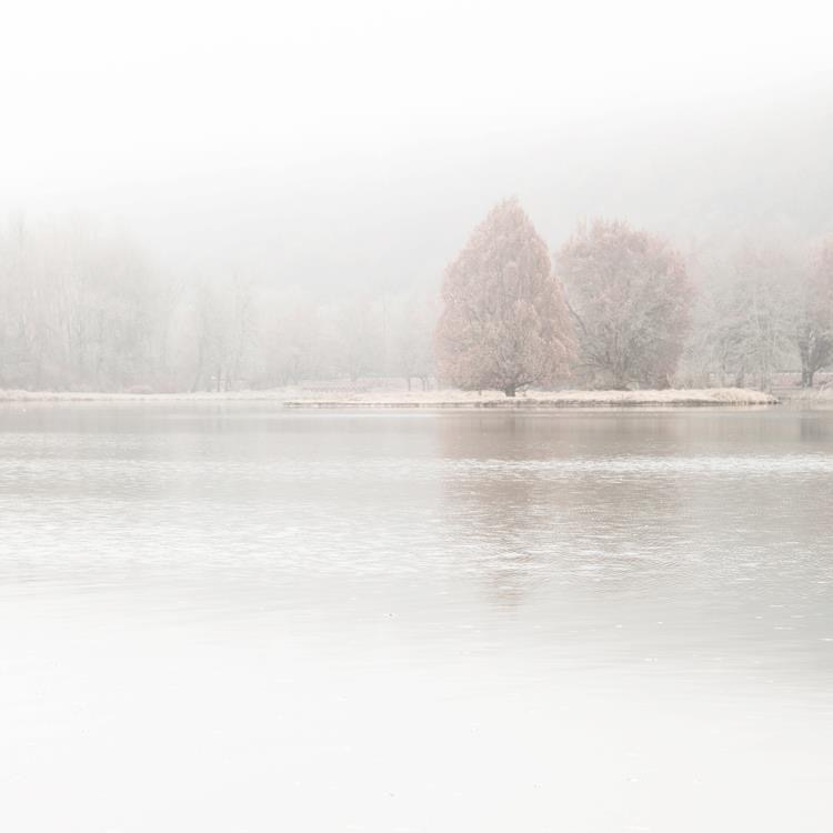 C5EDF612-3153-4847-A35C-37A9F0CC6F6F.jpeg