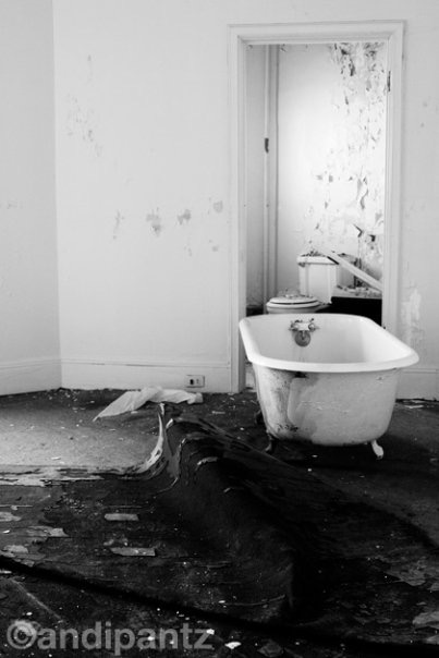 75B67419-34BD-4D43-99A2-33B05A14D9C8.jpeg