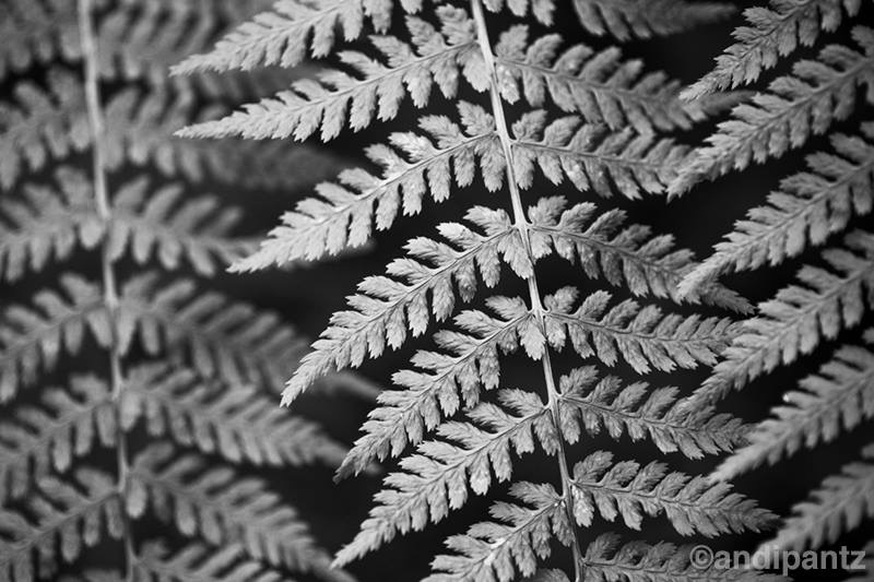 8A53154E-CF9E-4A2B-B064-3F8A0FA4E2F0.jpeg