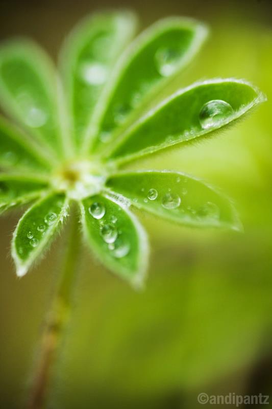C3BC9796-592D-4D5E-BF11-5D28A1ECB381.jpeg