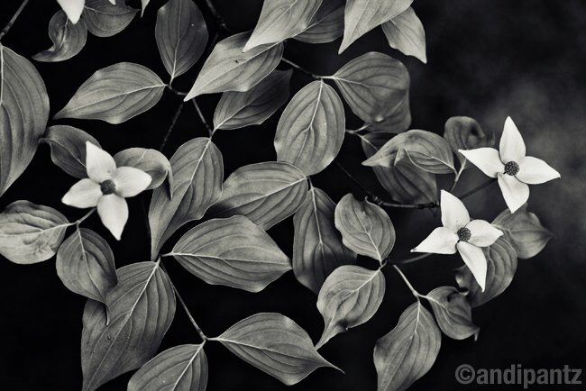 D8E2AB36-F254-4C62-9F72-E4DD2743CC5D.jpeg