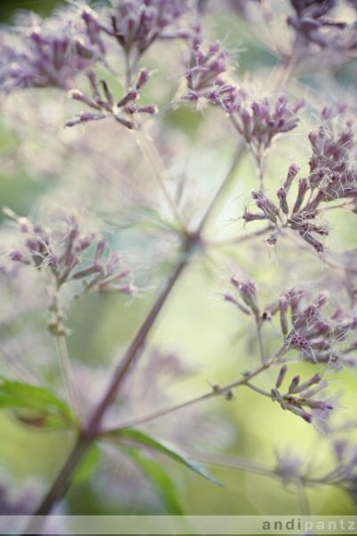 94E25CE0-D149-484F-909D-32D9B01076A2.jpeg