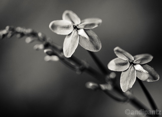A1012023-5E78-4EA6-A86F-19E74A8CE05F.jpeg
