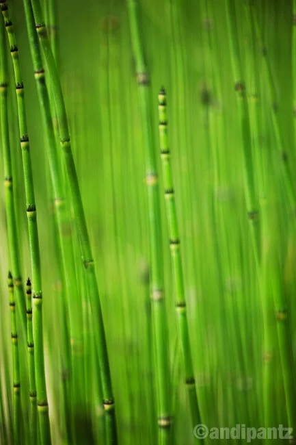C94A5278-4BC5-4D75-90B5-13827082936C.jpeg