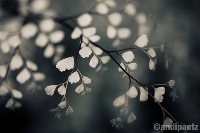 F3A8C190-E0D7-40CF-952C-4596BA950D28.jpeg