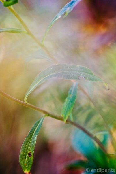 961019DF-A704-48FE-A003-BBEA0A963D40.jpeg