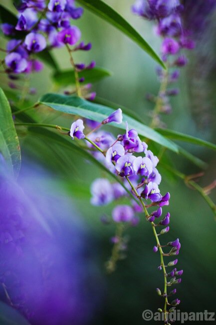 DD6E412C-E102-4B8C-BC3C-437FE72BA06A.jpeg