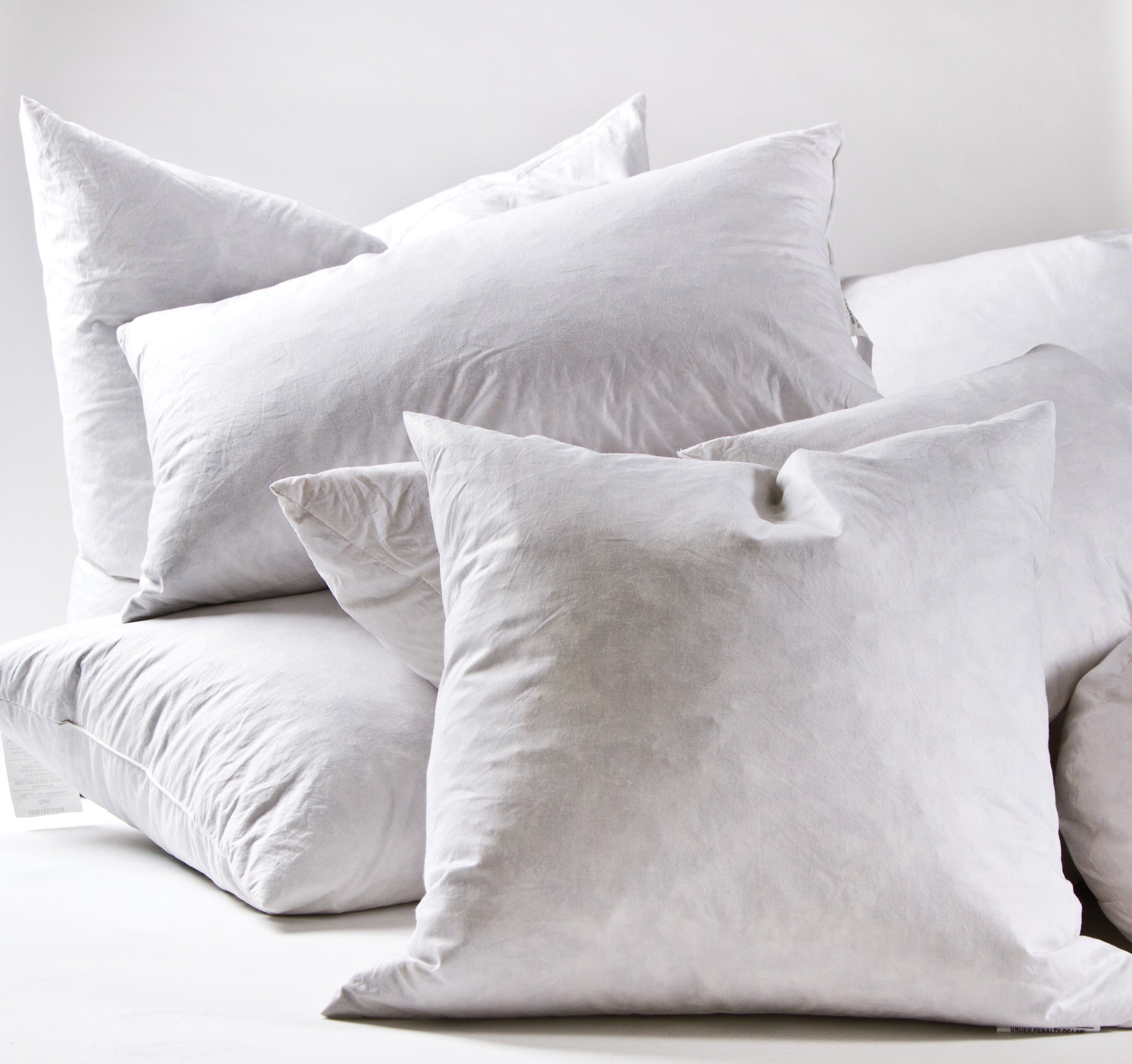 43742 - Big Pillow (28x36) Insert (2) - $145/each